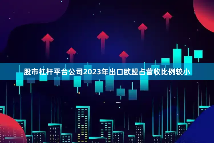 股市杠杆平台公司2023年出口欧盟占营收比例较小