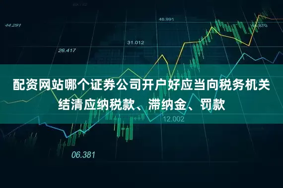 配资网站哪个证券公司开户好应当向税务机关结清应纳税款、滞纳金、罚款