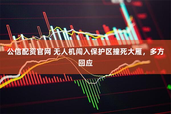 公信配资官网 无人机闯入保护区撞死大雁，多方回应