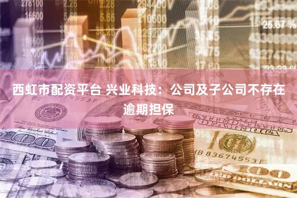 西虹市配资平台 兴业科技：公司及子公司不存在逾期担保