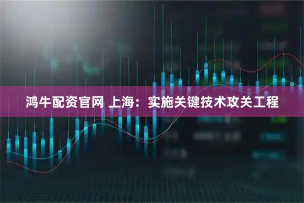 鸿牛配资官网 上海：实施关键技术攻关工程