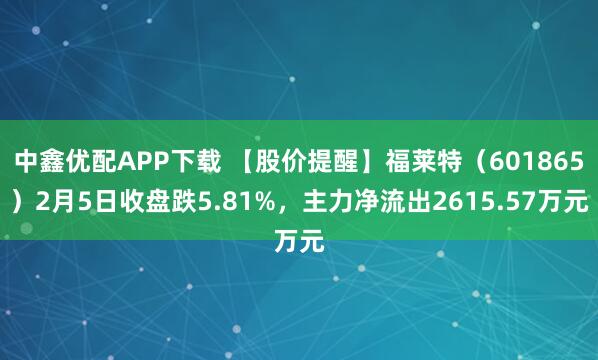 中鑫优配APP下载 【股价提醒】福莱特（601865）2月5日收盘跌5.81%，主力净流出2615.57万元